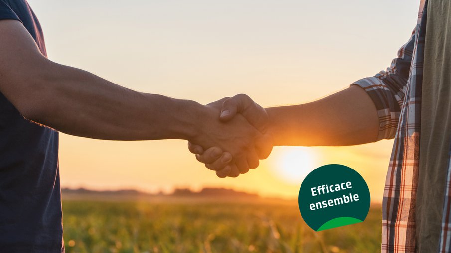 Förderporgramm effiziente Geräte