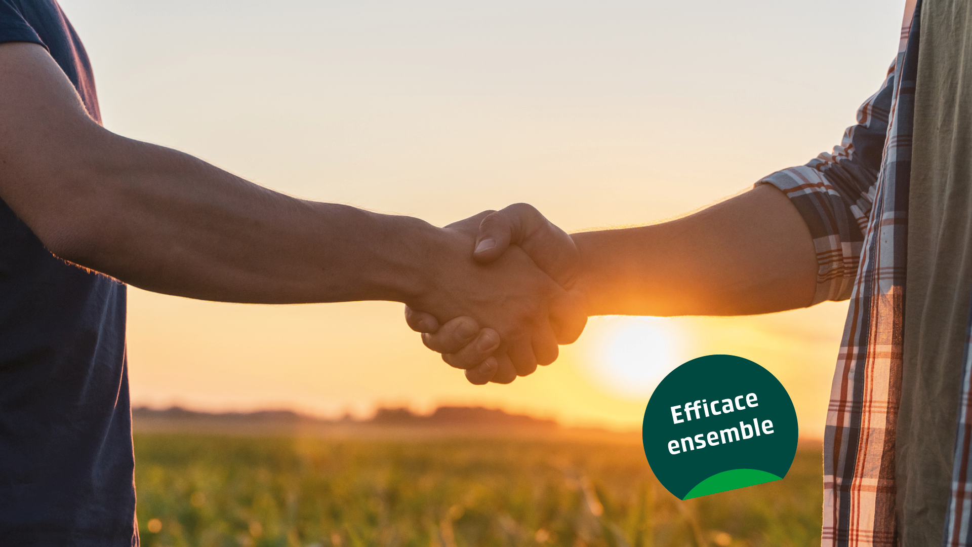 Une serre de main devant un paysage naturel, accompagnée du slogan « Efficace ensemble »