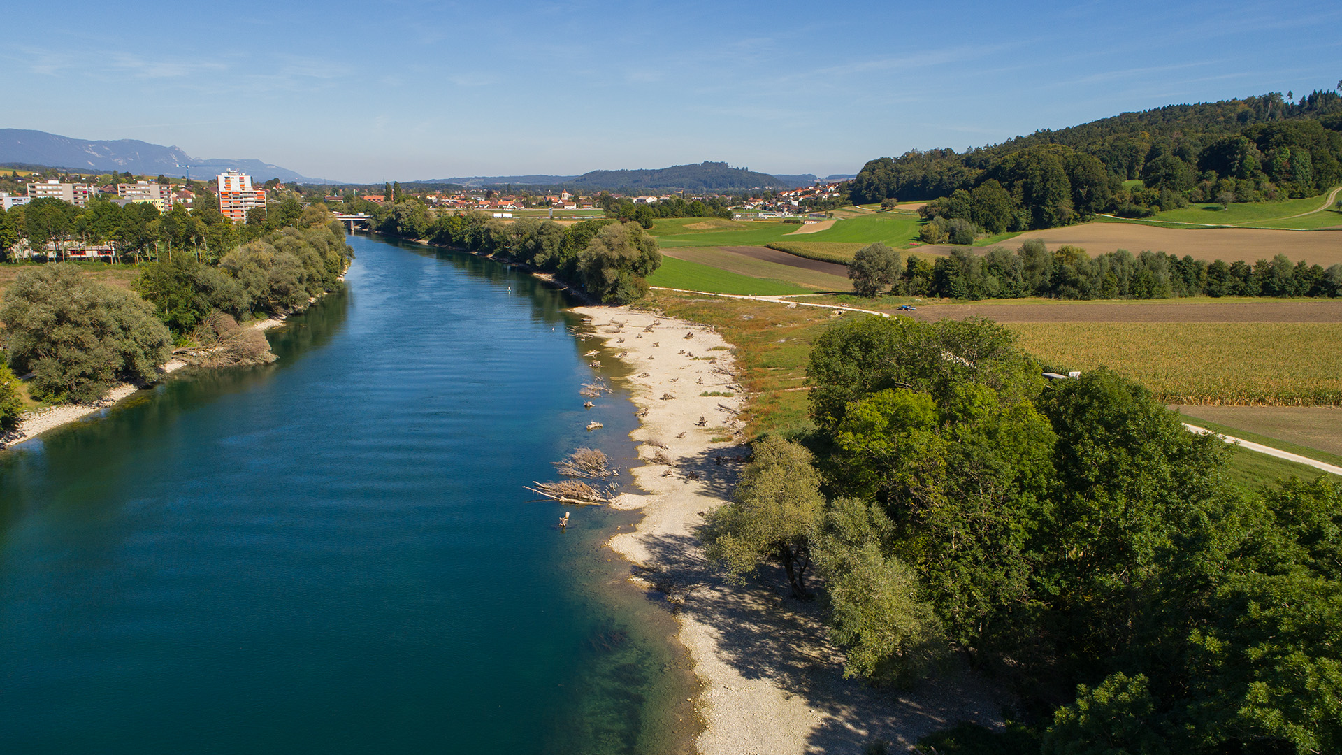 Sicht auf Spärs Renaturierung an der Aare