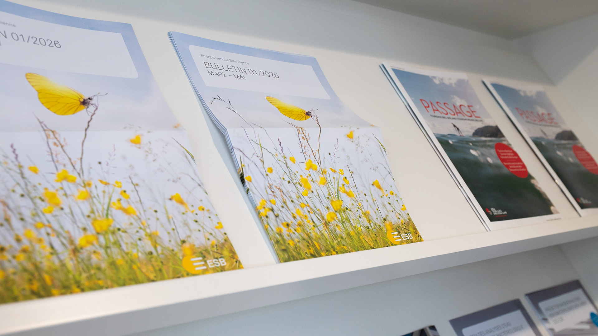 ESB Magazine im Regal