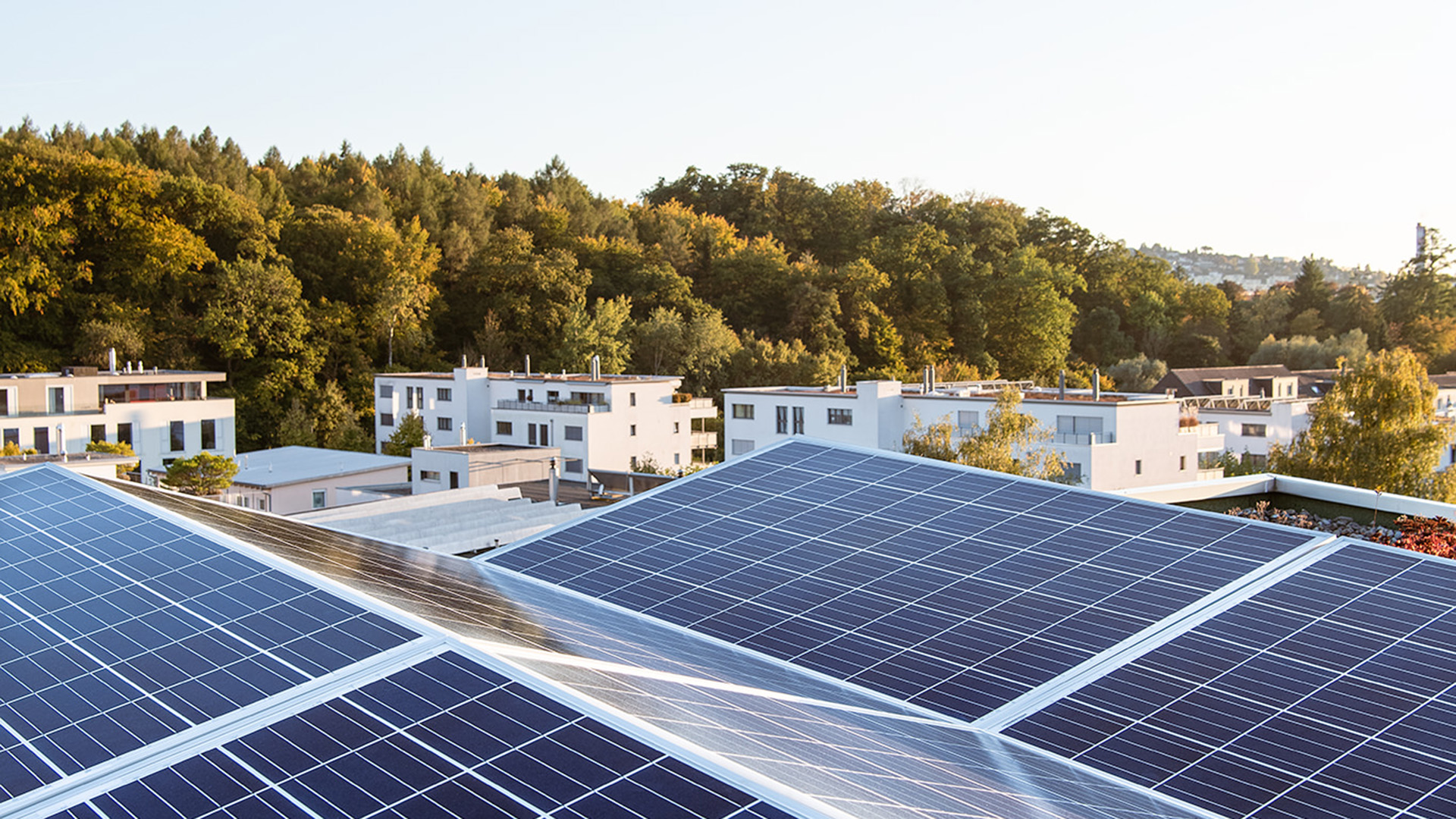 Solarpanels im Vordergrund Bieler Quartier und Wald im Hintergrund